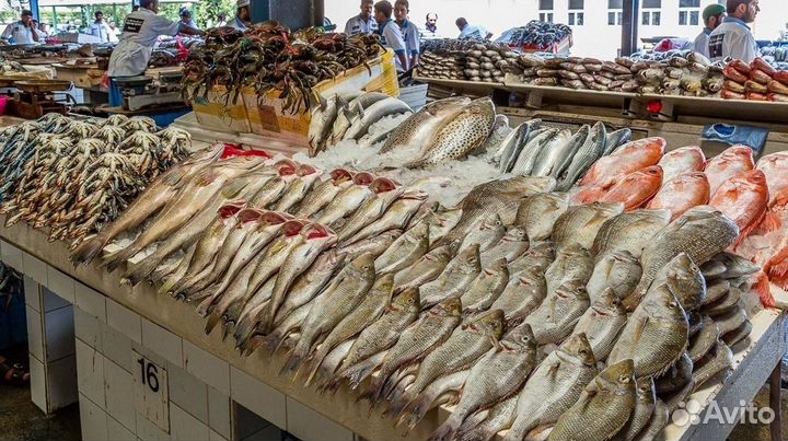 Бизнес: магазин свежей рыбы и морепродуктов