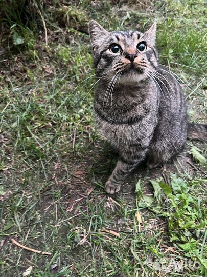 Меня бросили