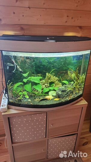 Аквариум
