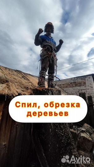 Спил деревьев Обрезка и измельчение веток