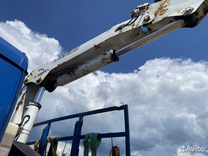 КАМАЗ 65117 с КМУ, 2011