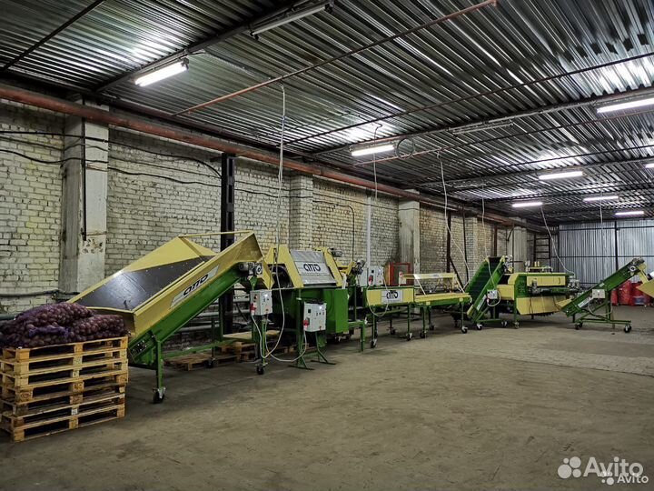 Комплексная линия обработки овощей