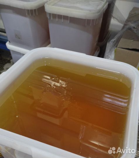 Мёд свежий акация Оптом