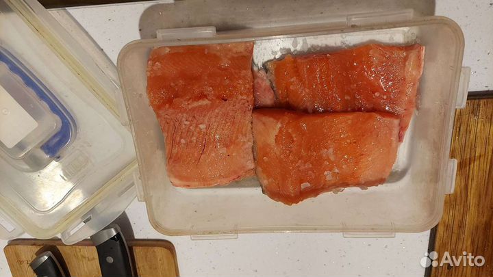 Форель живая в центре г. Ростова