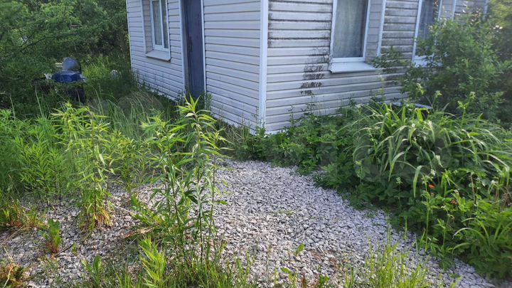 Дача 45 м² на участке 6 сот.