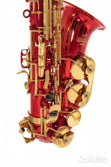 Саксофон альт Roy Benson AS-202R