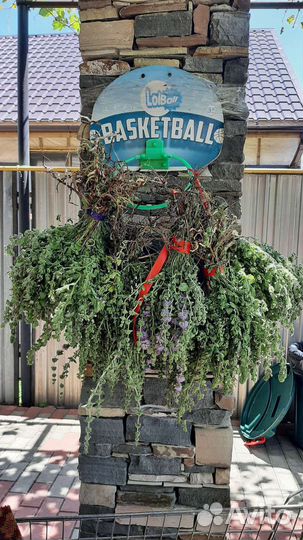 Лекарственные травы