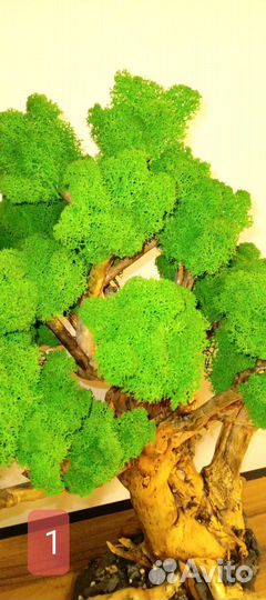 Бонсай искусственный
