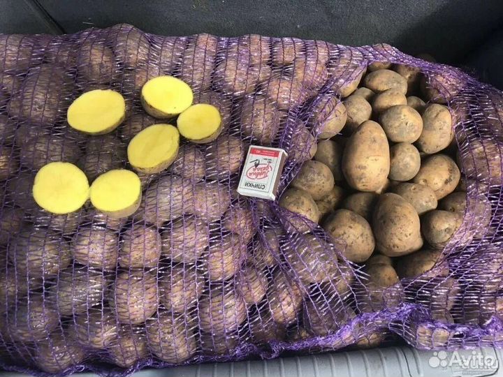 Картофель урожай 2024 опт
