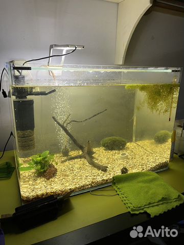 Аквариум с фильтром и компрессором