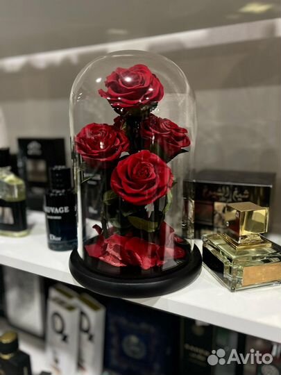 Розы в колбе
