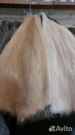 Шкуры нутрии и другие меха выделенные