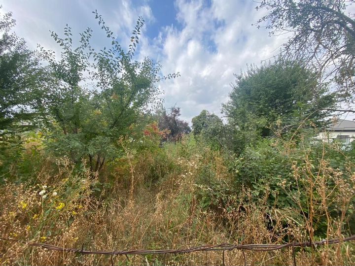 Участок 6,2 сот. (СНТ, ДНП)