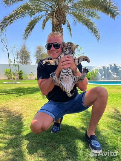 Риэлтор. Подбор недвижимости в ОАЭ