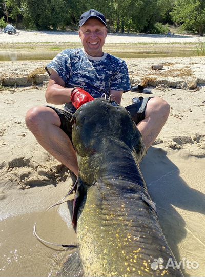 Трофейная рыбалка на сомов и судаков