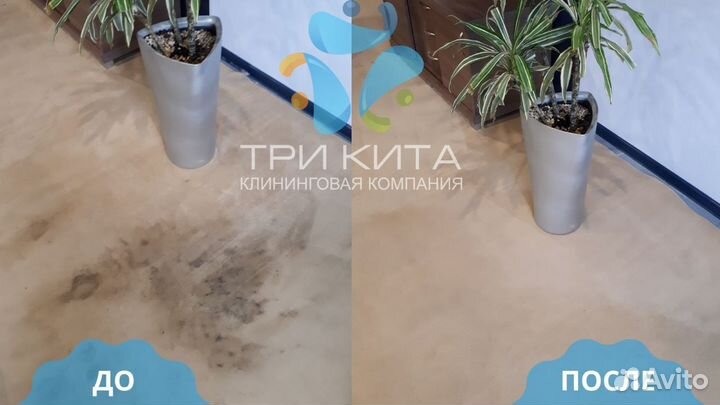 Химчистка мягкой мебели и ковров на дому