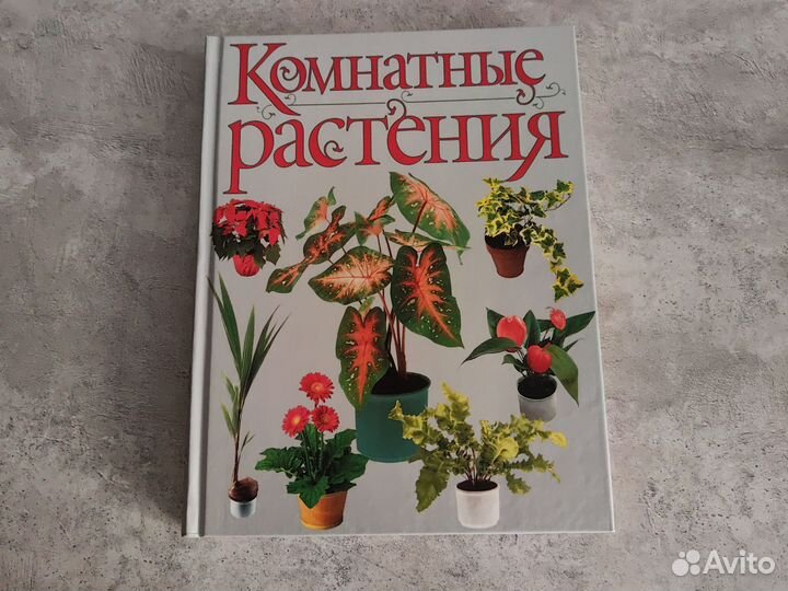 Книги о комнатных растениях