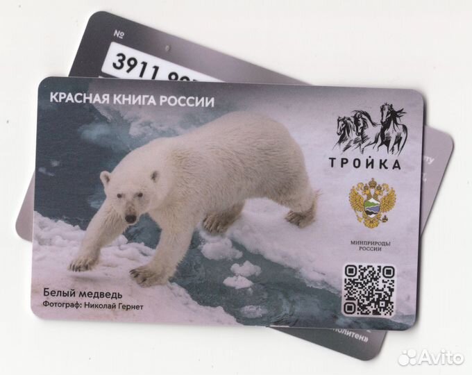 Коллекционные карты тройка Красня книга - медведь