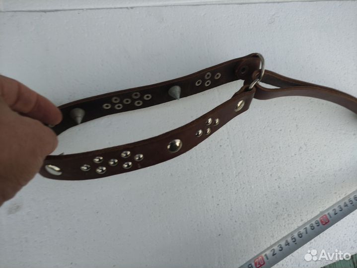 Ошейник кожа шипы строгий собака