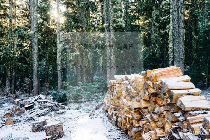 Дрова березовые осиновые ольховые