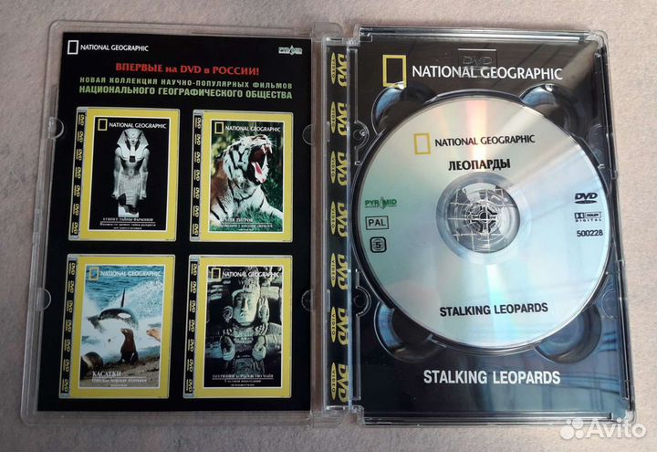 Диск DVD - видео ''Леопарды''