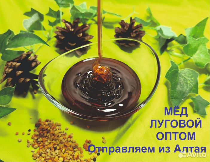 Натуральный мёд 2023 г (опт)