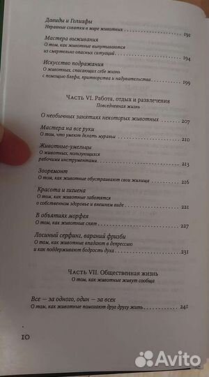 Почему панда стоит на голове Браун Огастес