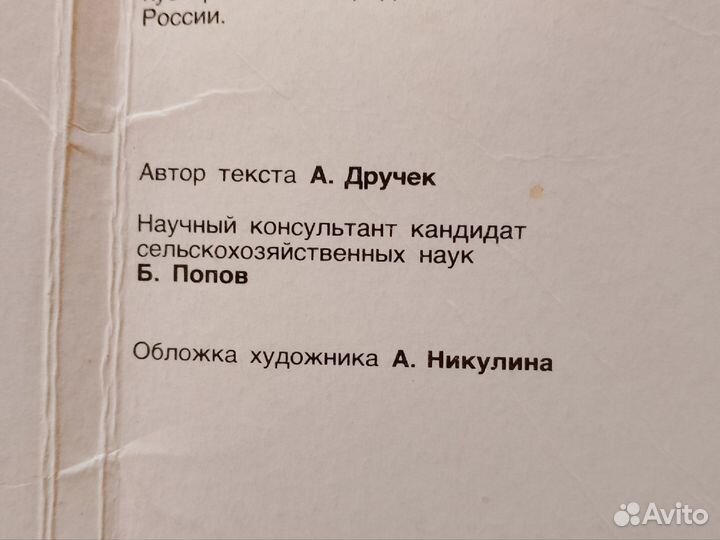 Открытки, ретро