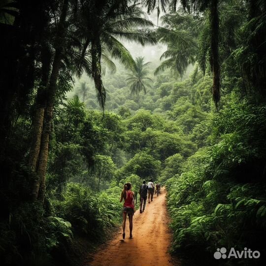Туры на отдых на Шри-Ланке