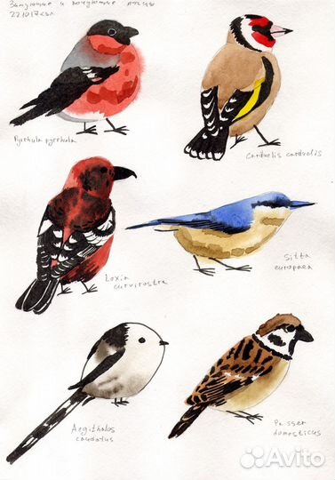 Картины акварелью 