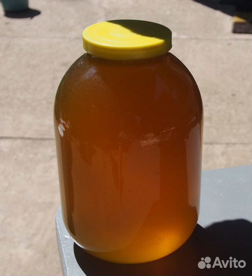 Мёд разнотравье 2023г