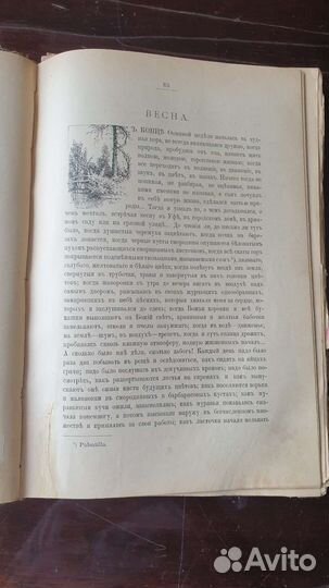 Книга 1907г