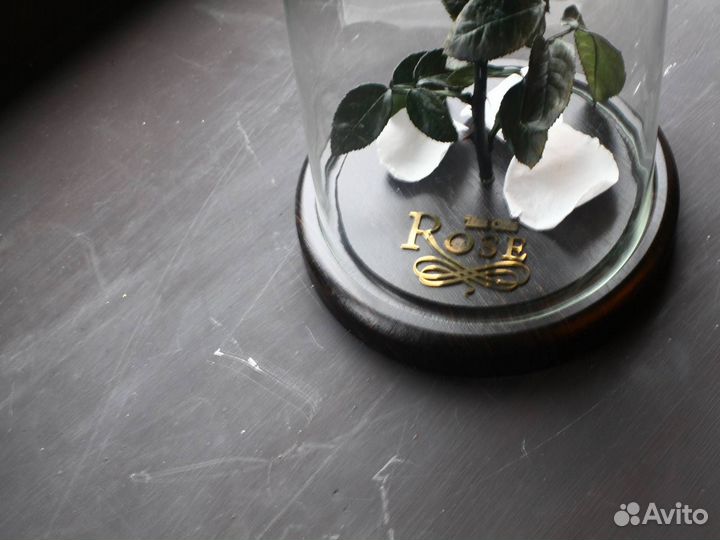 Роза в колбе Deluxe Белая