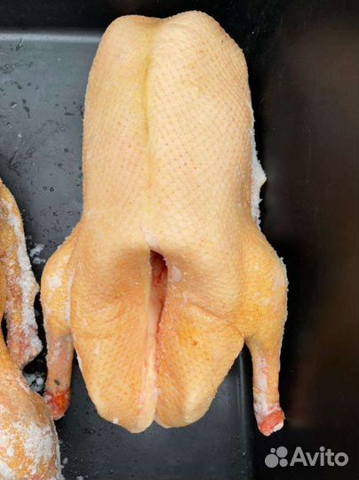 Мясо индоутки,гуся