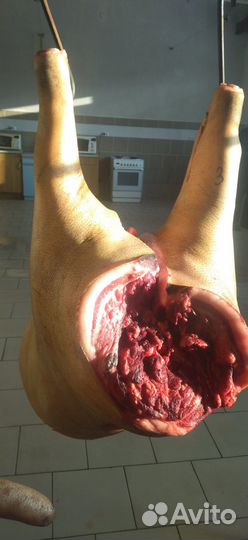 Мясо свинина домашняя / свежий забой