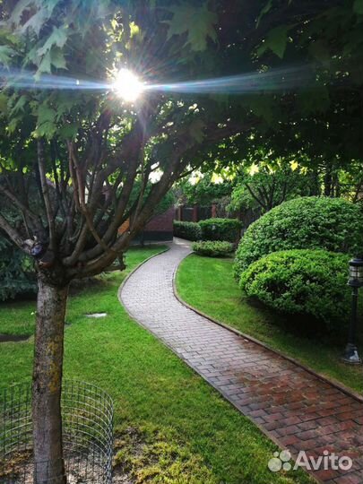 Садовник, профи