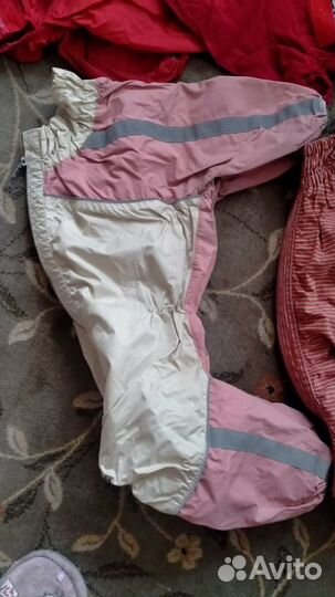 Одежда для собак