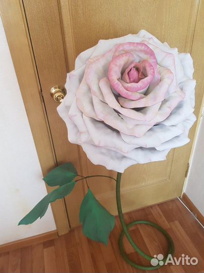 Роза напольная