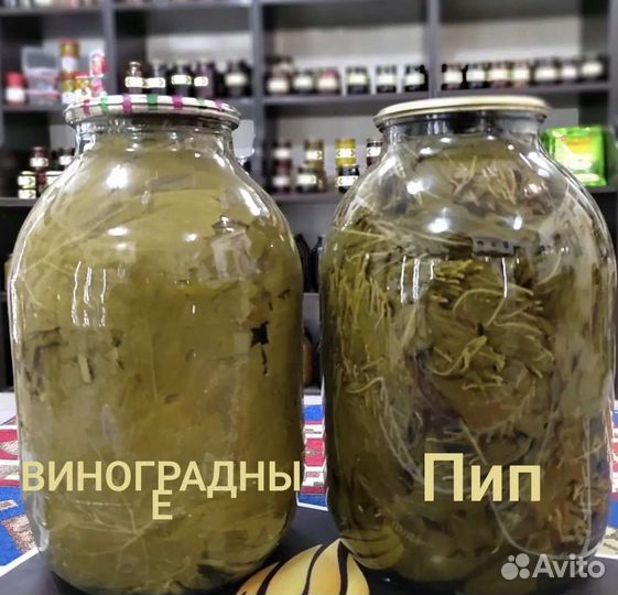 Виноградные листья/для Долма/Азербайджан