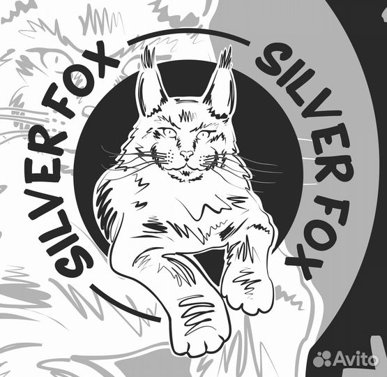 Графический дизайнер / Отрисовка в векторе