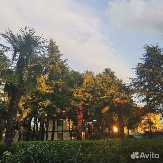 Работа завхоз