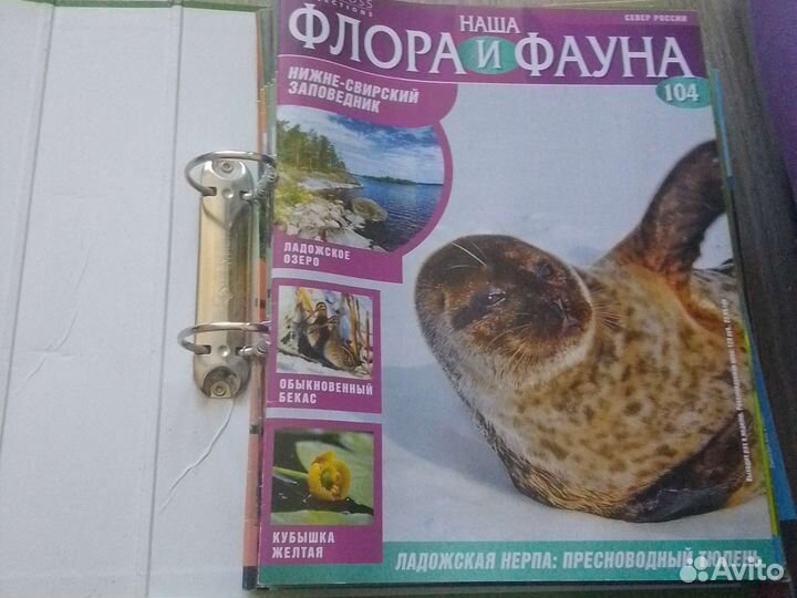 Наша флора и фауна журналы