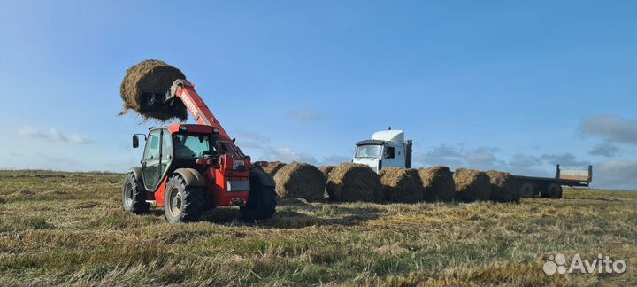 Солома в рулонах и мешках