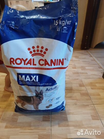 Сухой корм для собак