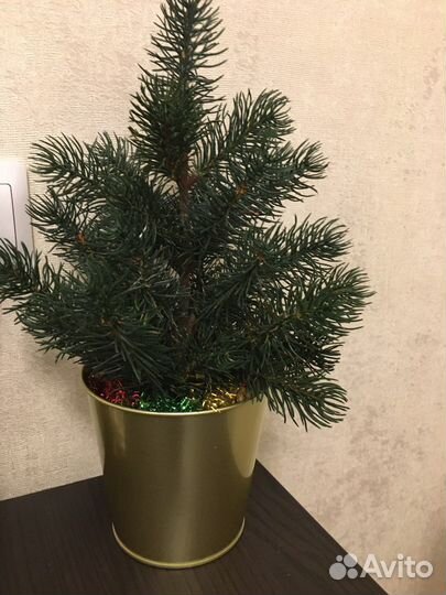 Ель искуственная литая