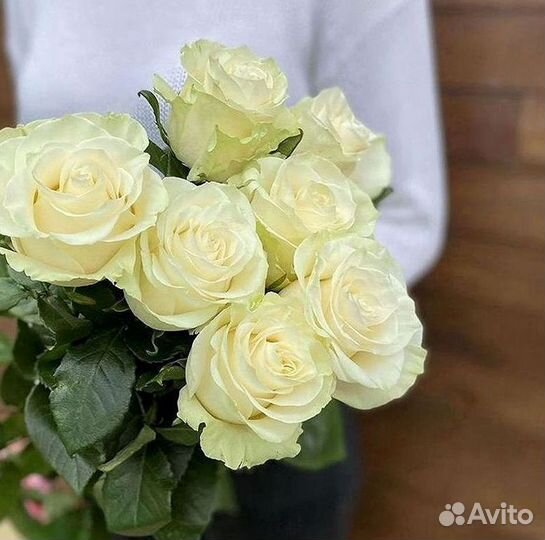 Высокие Розы с Доставкой