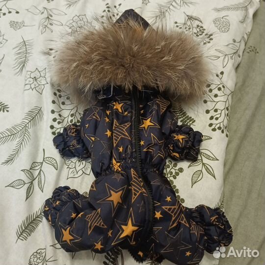 Зимняя куртка для собак