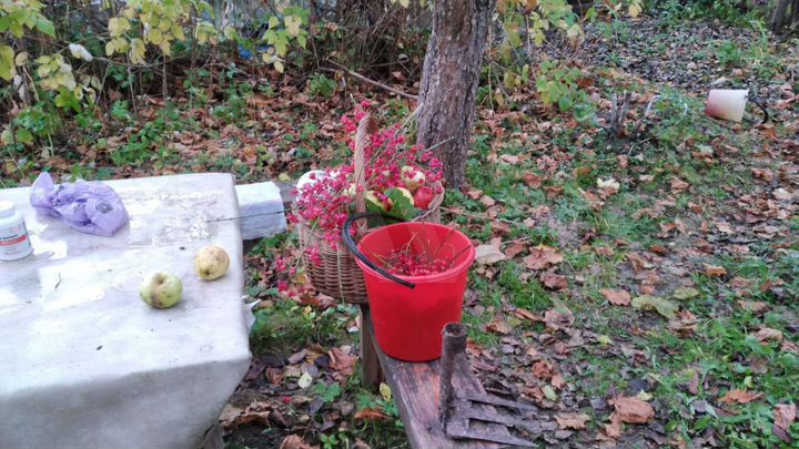 Участок 7,8 сот. (СНТ, ДНП)