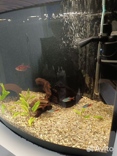 Аквариум с тумбой