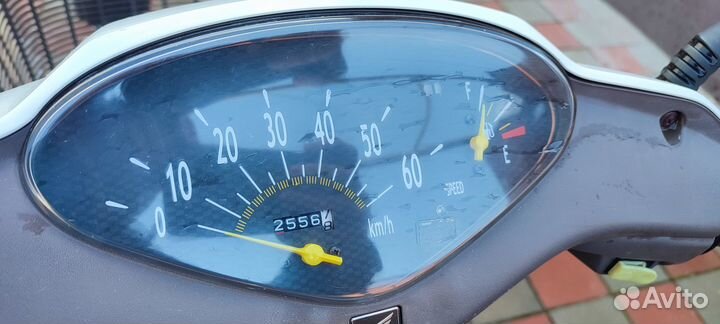 Honda dio cesta AF-62